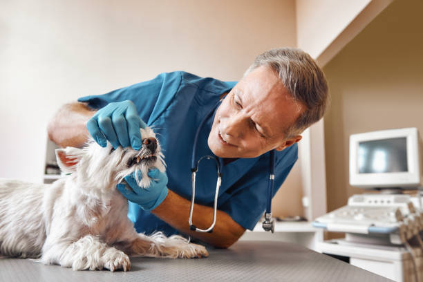 Best 24-Hour Emergency Dentist  in North Richmond, CA